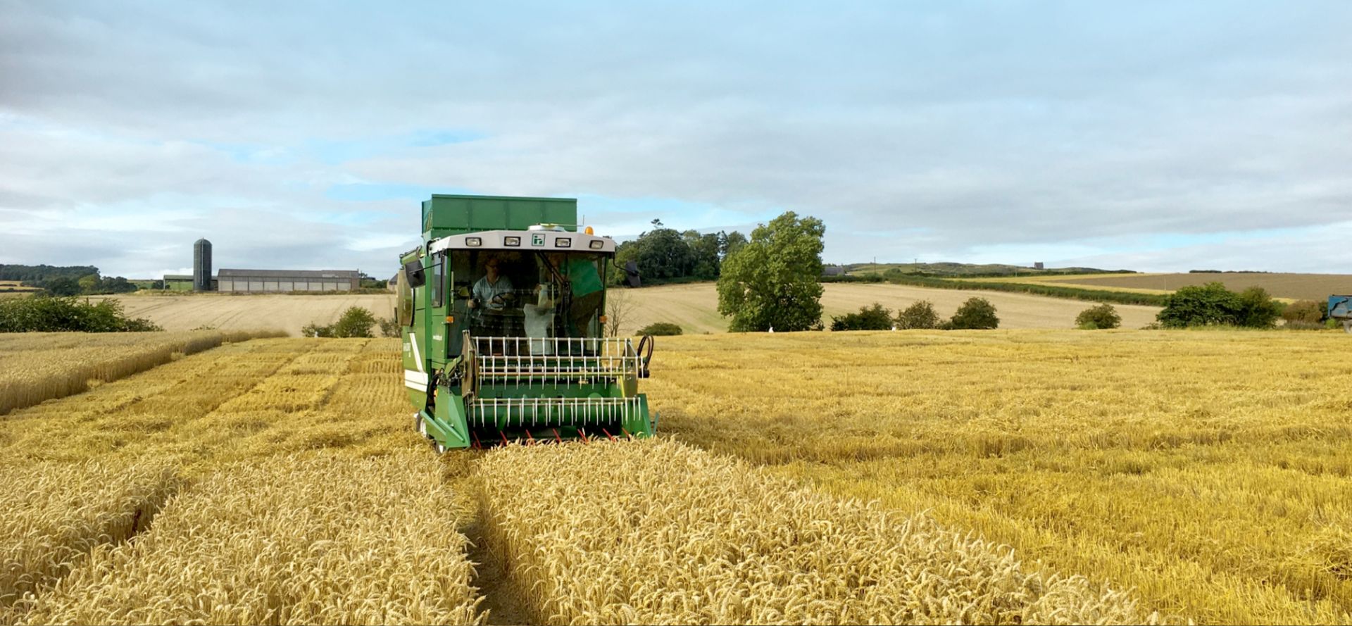 haldrup_PARZELLENMAEHDRESCHER